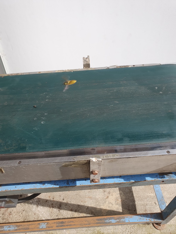 cinta transportadora alimentos 87x134x55 1u